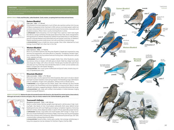 National Geographic Field Guide to the Birds of the United States and Canada, 8th edition
