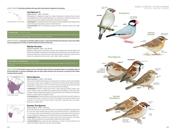 National Geographic Field Guide to the Birds of the United States and Canada, 8th edition