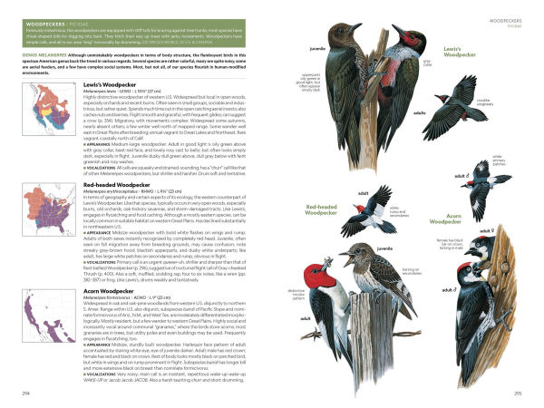 National Geographic Field Guide to the Birds of the United States and Canada, 8th edition