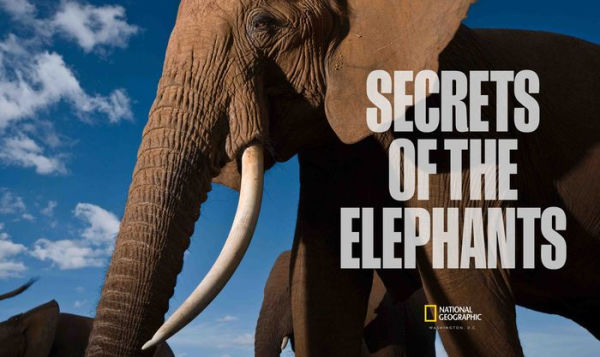 Secrets of the Elephants