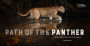 Alternative view 8 of Path of the Panther: New Hope for Wild Florida