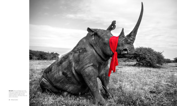 Wild Eye: A Life in Photographs