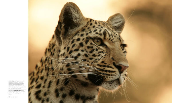 Wild Eye: A Life in Photographs