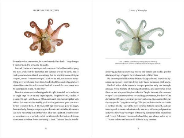 Secrets of the Octopus