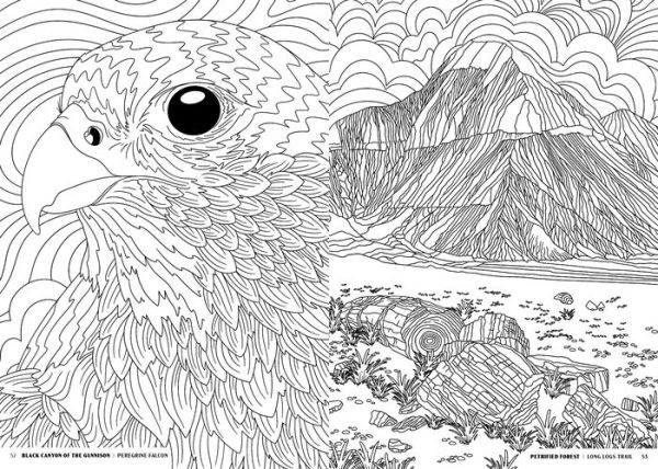 The National Parks: A Coloring Book