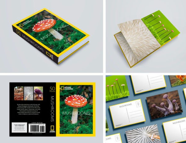 Mushrooms: 50 Postcards