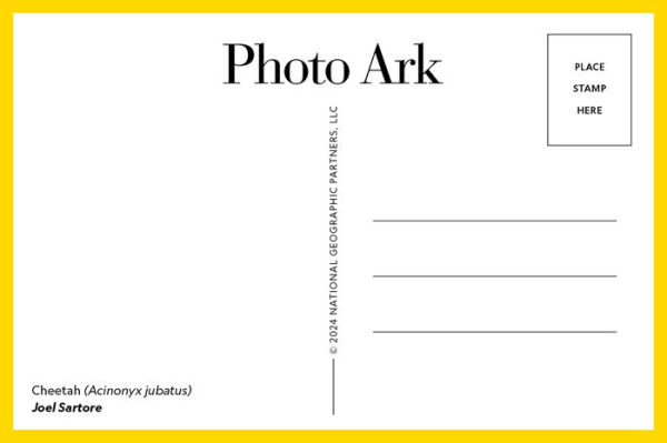 Photo Ark: 50 Postcards