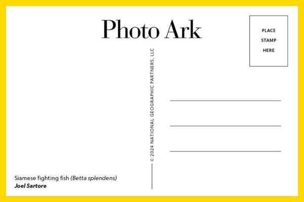 Photo Ark: 50 Postcards