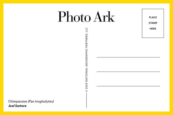 Photo Ark: 50 Postcards