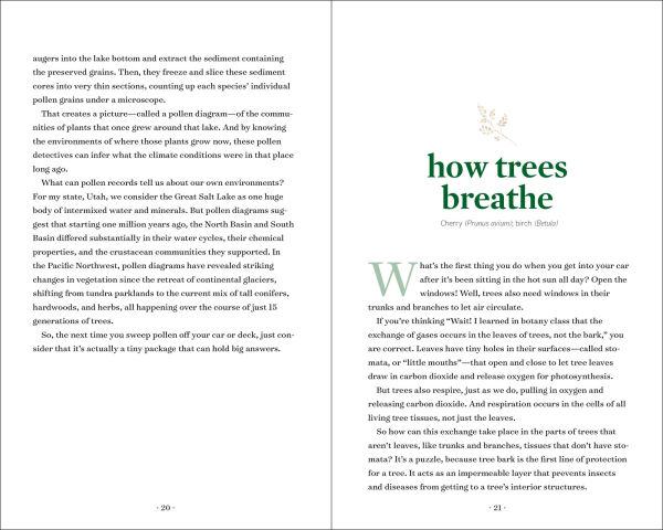 TreeNotes: A Year in the Company of Trees