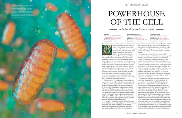 The Grand Cosmic Story: An Illustrated Timeline 13.8 Billion Years and Beyond