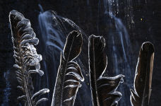 Alternative view 2 of Amazon: A River's Journey From the Andes to the Atlantic