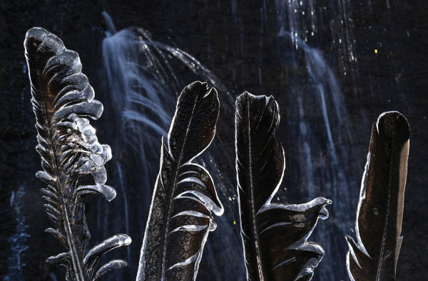 Amazon: A River's Journey From the Andes to the Atlantic