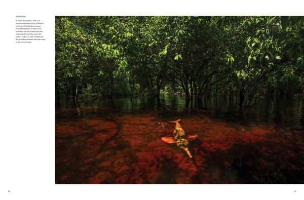 Amazon: A River's Journey From the Andes to the Atlantic