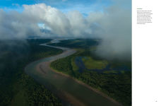 Alternative view 8 of Amazon: A River's Journey From the Andes to the Atlantic