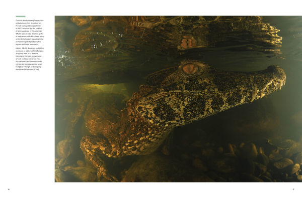 Amazon: A River's Journey From the Andes to the Atlantic