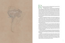 Alternative view 10 of Amazon: A River's Journey From the Andes to the Atlantic