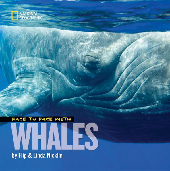 Face to With Whales