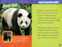 Alternative view 2 of Pandas (National Geographic Readers Series)