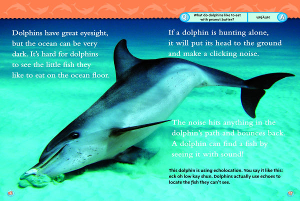 Dolphins (National Geographic Readers Series)