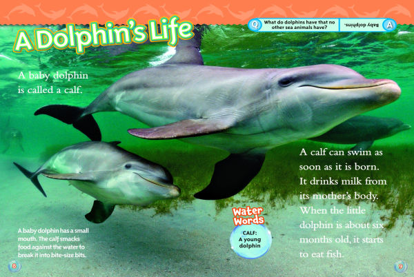 Dolphins (National Geographic Readers Series)