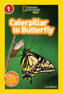 Caterpillar to Butterfly (National Geographic Readers Series)