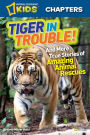 Tiger in Trouble! (National Geographic Kids Chapters Series)