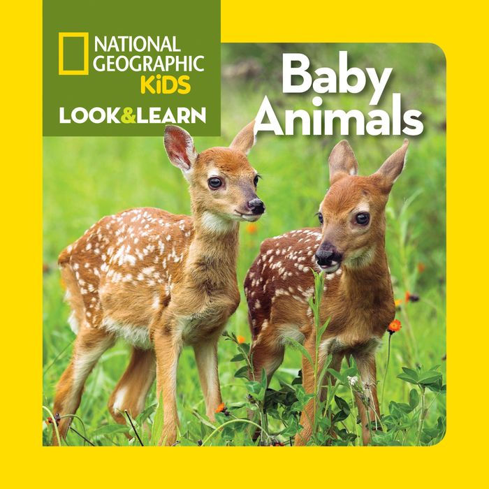 National Geographic Kids Look and Learn: Baby Animals