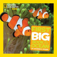 Title: National Geographic Little Kids First Big Book of the Ocean, Author: Catherine D. Hughes