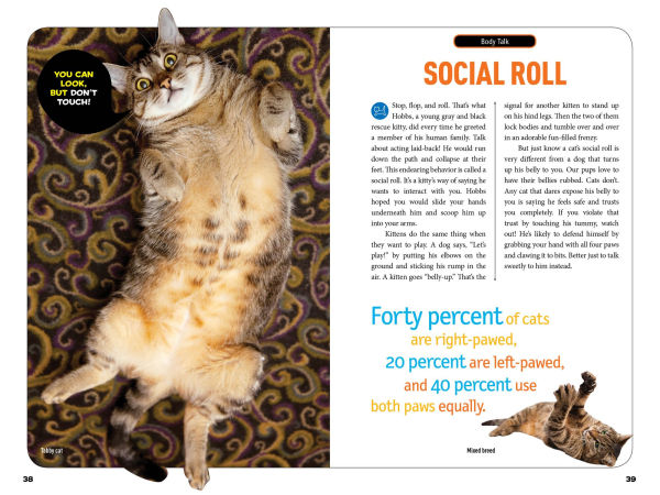 How to Speak Cat: A Guide Decoding Cat Language