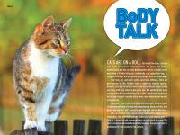 Alternative view 3 of How to Speak Cat: A Guide to Decoding Cat Language