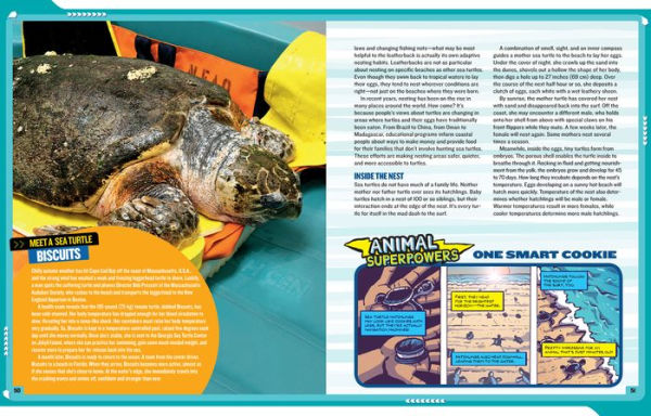 National Geographic Kids Mission: Sea Turtle Rescue: All About Sea Turtles and How to Save Them