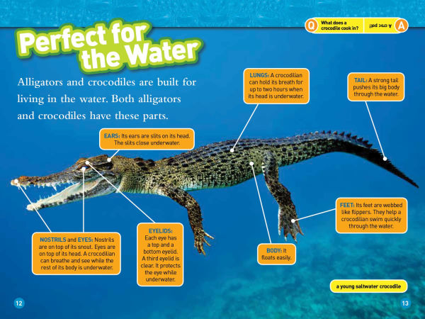 Alligators and Crocodiles (National Geographic Readers Series)