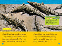 Alternative view 3 of Alligators and Crocodiles (National Geographic Readers Series)