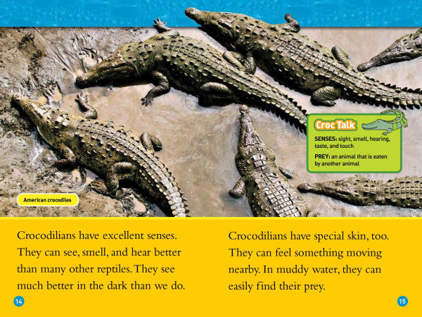 Alligators and Crocodiles (National Geographic Readers Series)