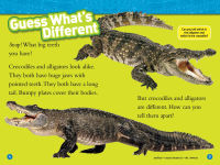 Alternative view 4 of Alligators and Crocodiles (National Geographic Readers Series)