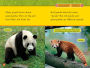 Alternative view 3 of Red Pandas (National Geographic Readers Series)