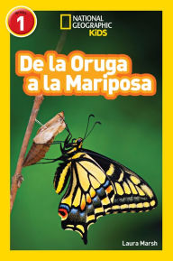 De la Oruga a la Mariposa (Caterpillar to Butterfly) (National Geographic Readers Series)