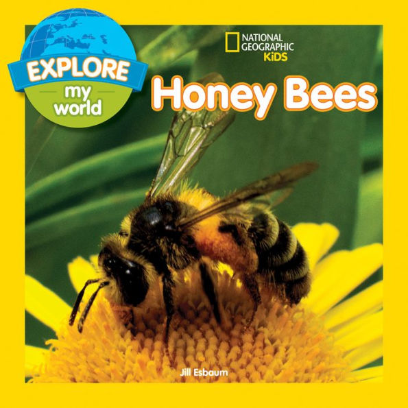 Honey Bees (Explore My World Series)