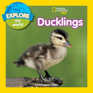 Title: Ducklings (Explore My World Series), Author: Marfe Ferguson Delano