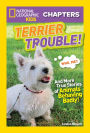 Terrier Trouble!: And More True Stories of Animals Behaving Badly (National Geographic Chapters Series)