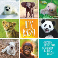 Title: Hey, Baby!: A Collection of Pictures, Poems, and Stories from Nature's Nursery, Author: Stephanie Warren Drimmer