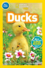 Ducks (National Geographic Readers Series: Pre-reader)