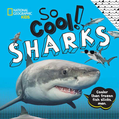 cool shark toys