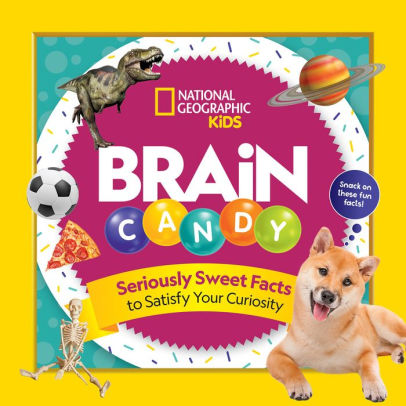 Brain Candy 500 Sweet Facts To Satisfy Your Curiosity By Julie Beer Chelsea Lin Paperback Barnes Noble