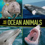 Face to Face: Ocean Animals