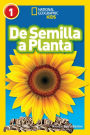 National Geographic Readers: De Semilla a Planta (L1)