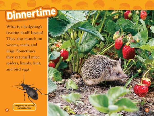 National Geographic Readers: Hedgehogs (Level 1)