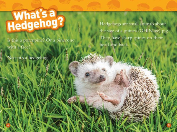 National Geographic Readers: Hedgehogs (Level 1)