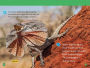 Alternative view 5 of National Geographic Readers: Reptiles (L1/Coreader)